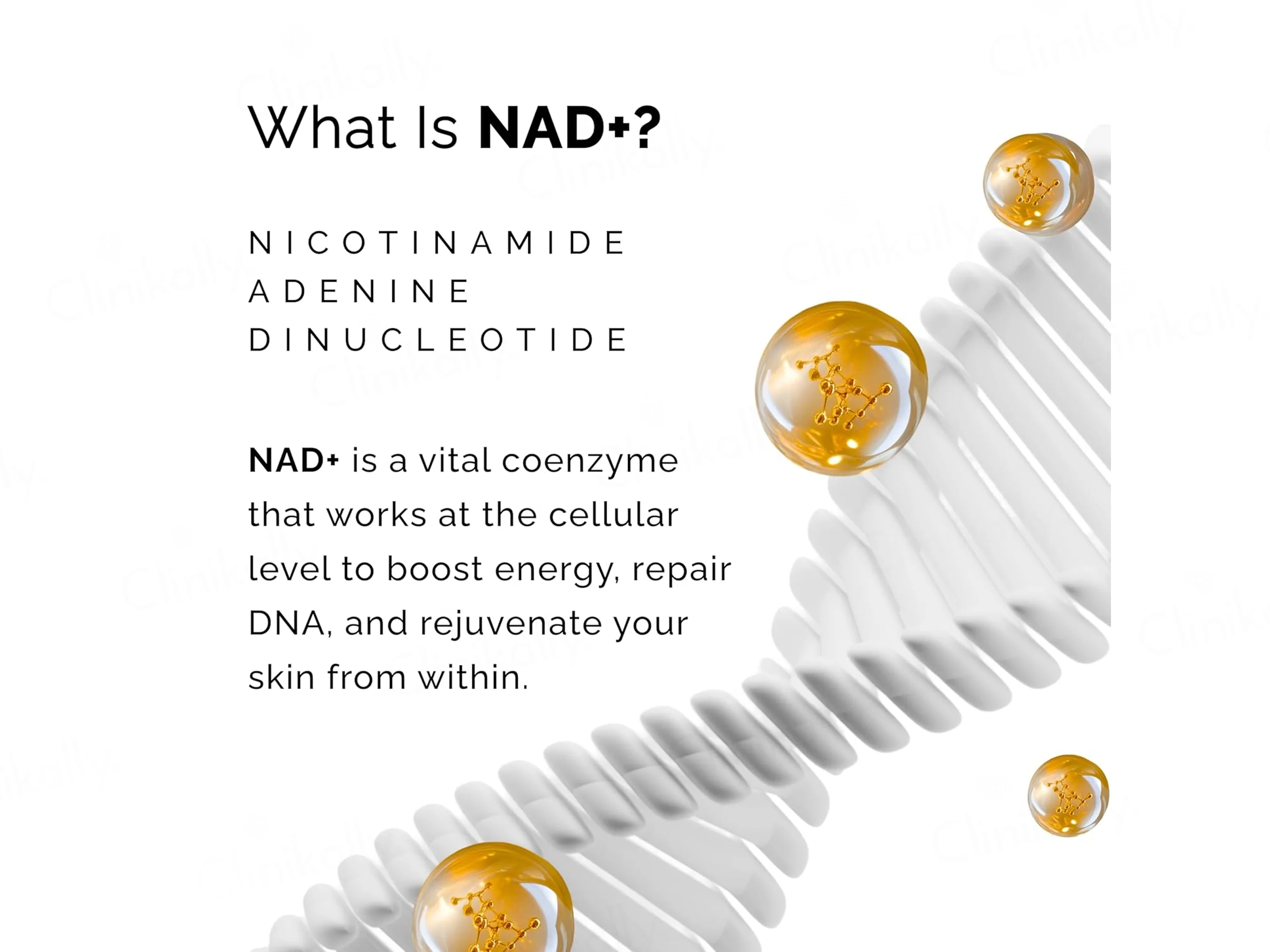 Beyond Beyond NAD+ Advanced Antioxidant Defense Face Serum - Image 3
