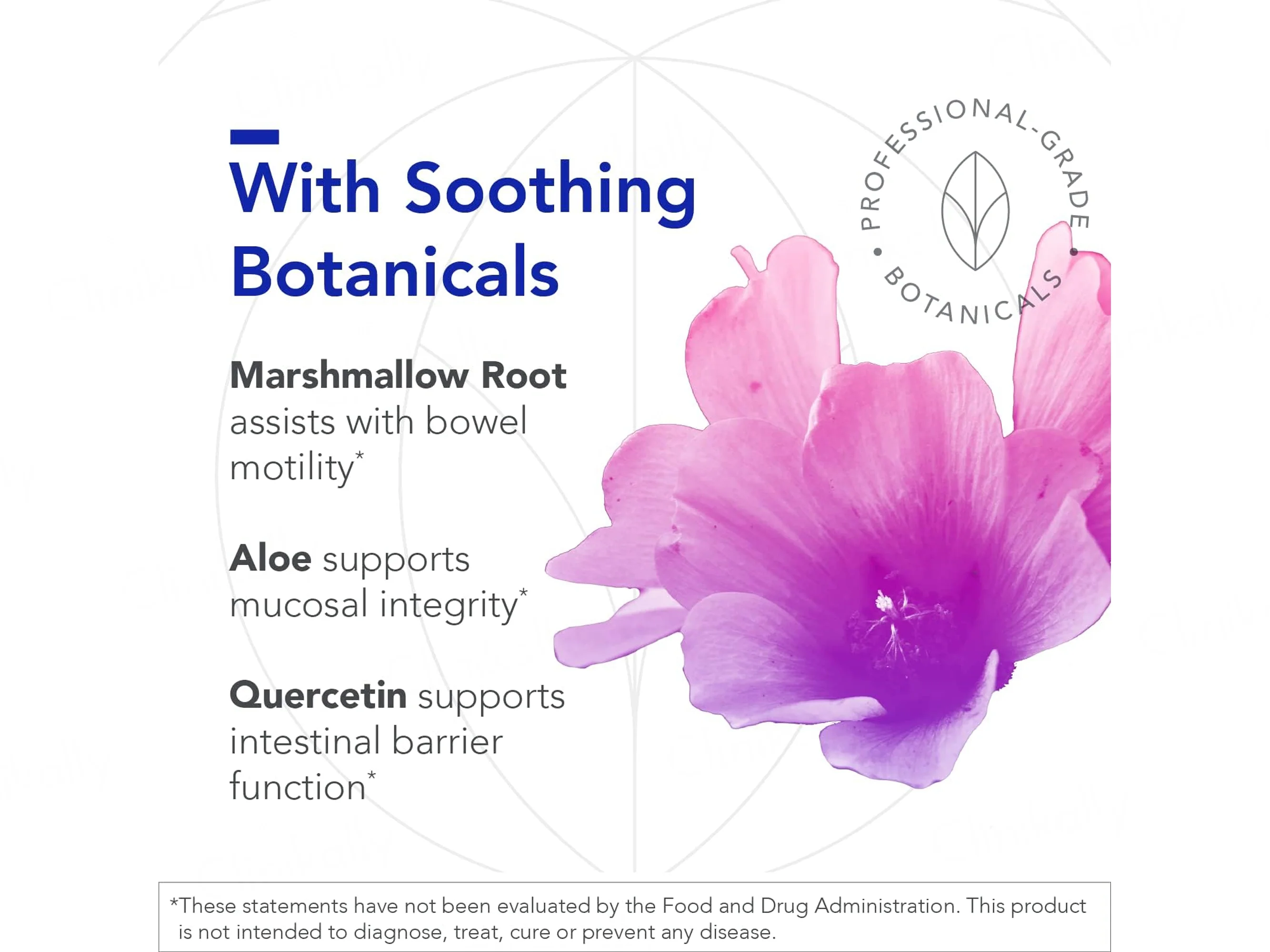 Biocidin Botanicals Proflora 4R Spore-Based Probiotic Dietary Supplement Capsule - Image 4