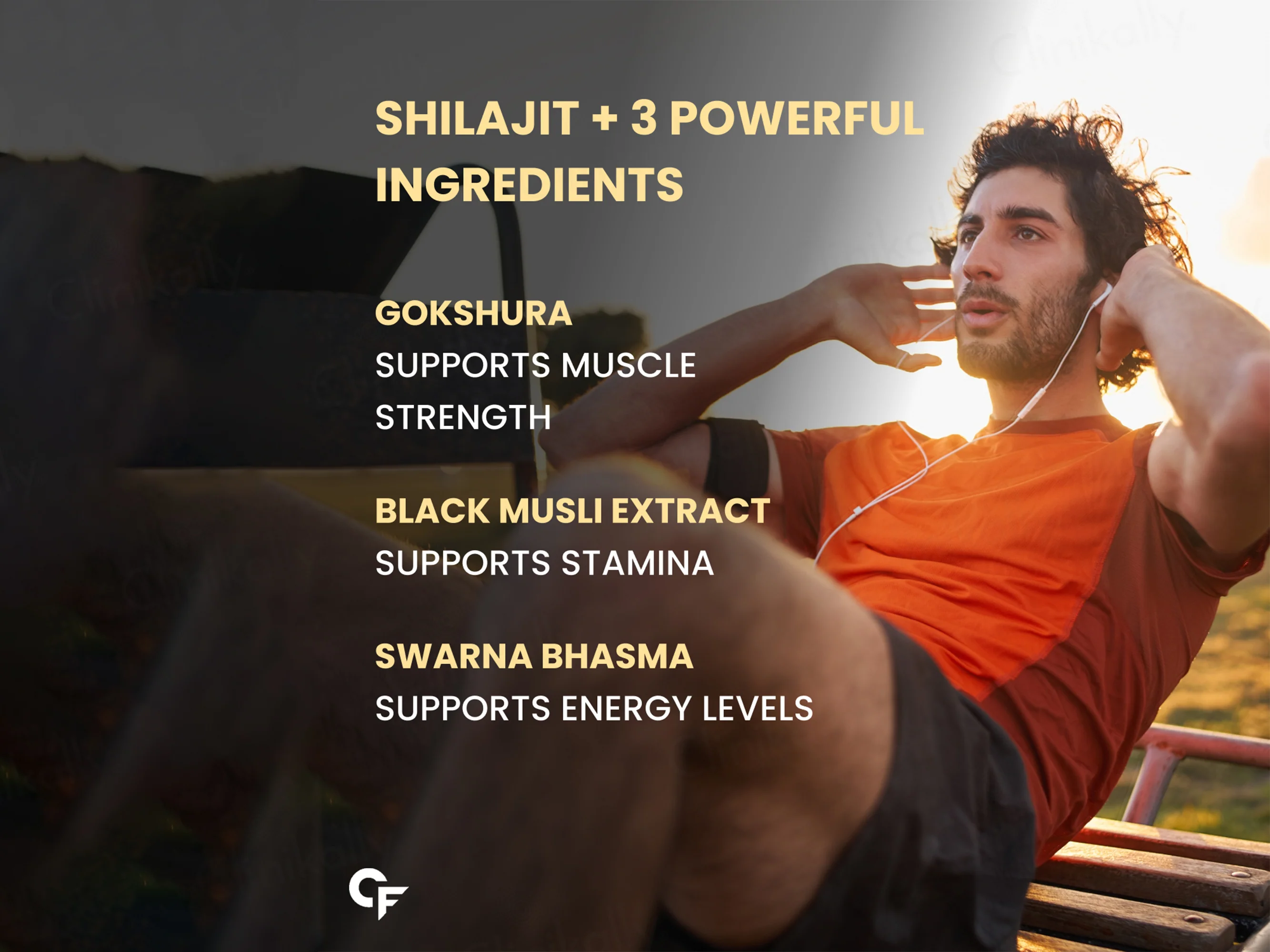 Carbamide Forte Shilajit Gold Effervescent Tablet - Image 9