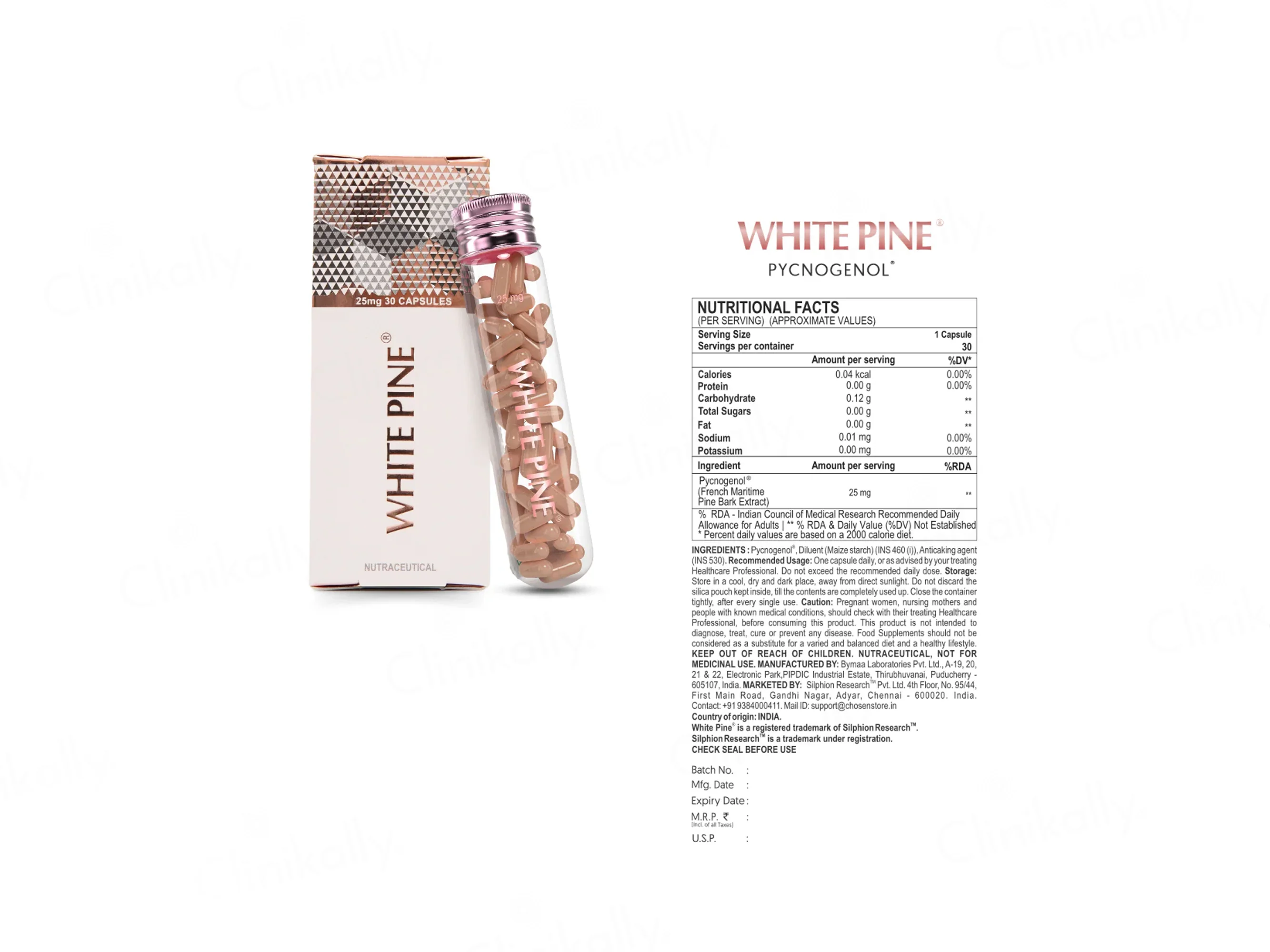 Chosen White Pine Pycnogenol 25mg Nutraceutical Capsule - Image 3