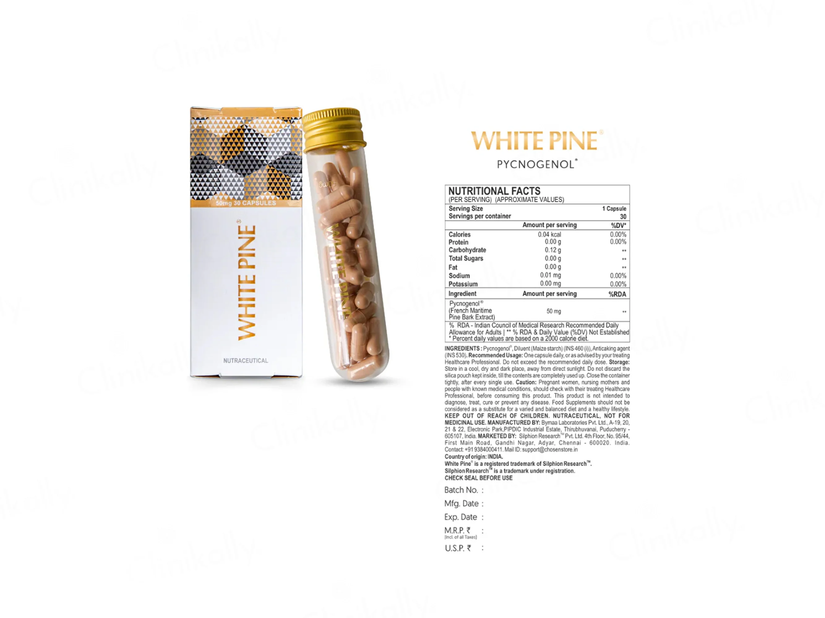Chosen White Pine Pycnogenol 50mg Nutraceutical Capsule - Image 3
