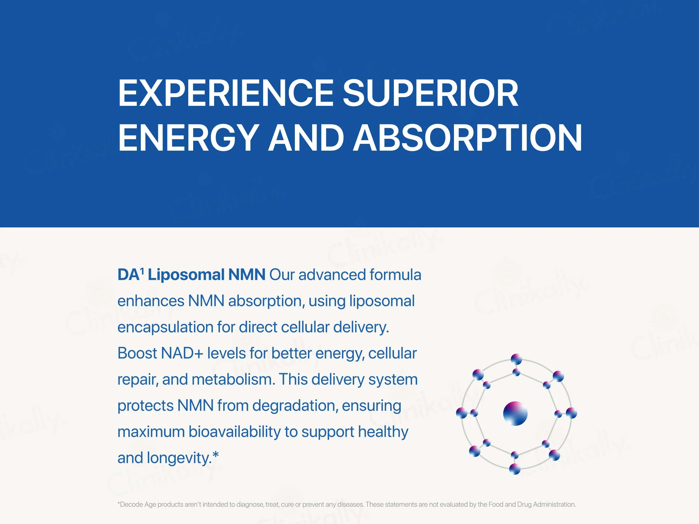 Decode Age Liposomal NMN 500 Vegan Capsule - Image 3