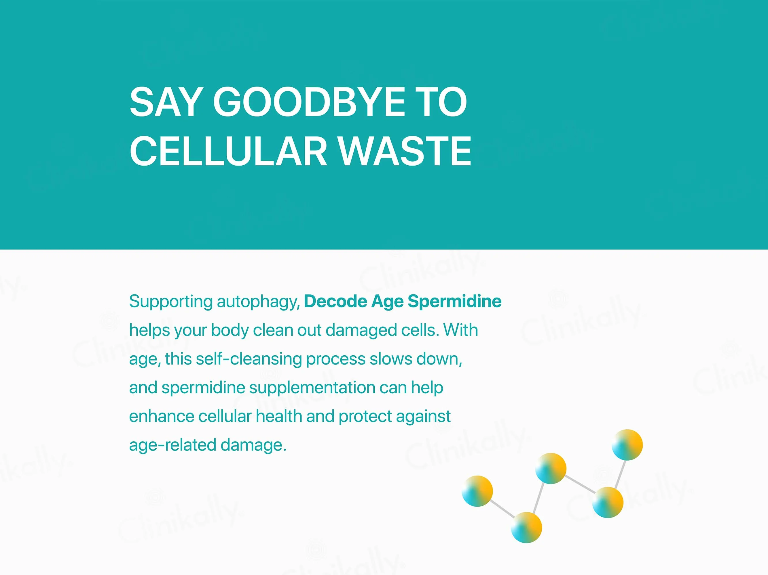 Decode Age Spermidine Vegan Capsule - Image 4
