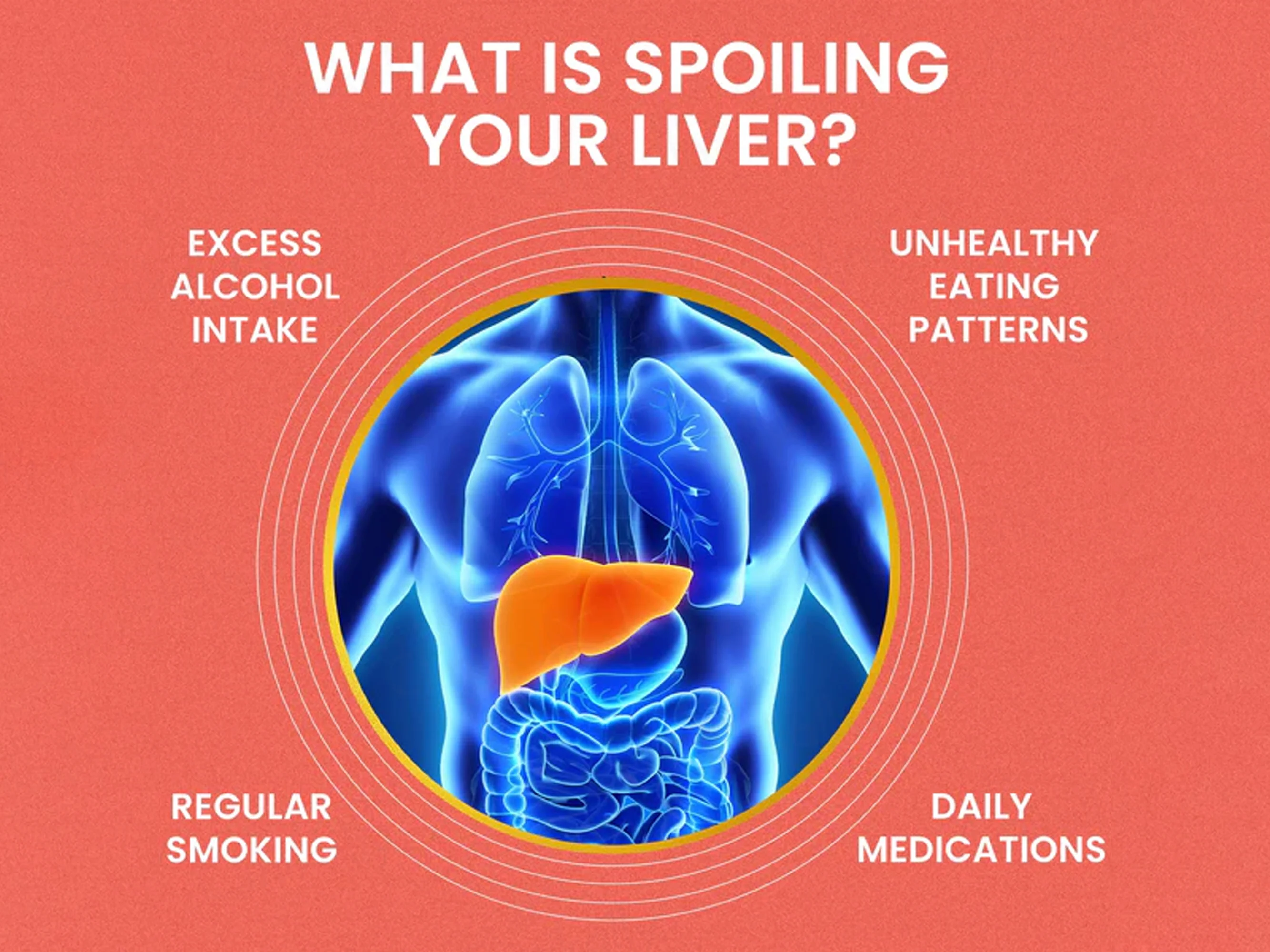 Dr. Morepen Milk Thistle+ Liver Detox Capsule - Image 6
