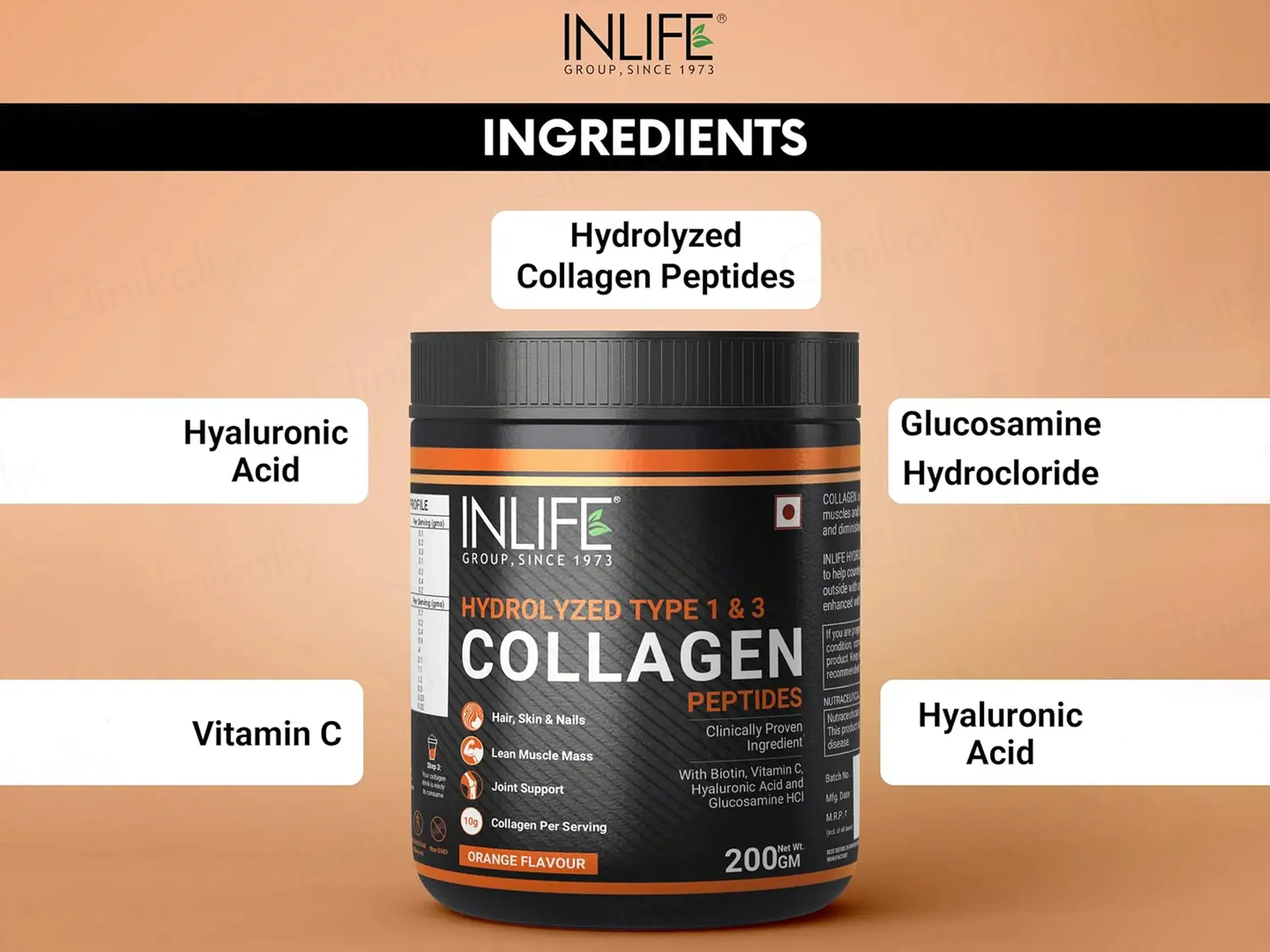 Inlife Japanese Hydrolyzed Type 1 & 3 Collagen Peptides Nutraceutical Powder - Image 4