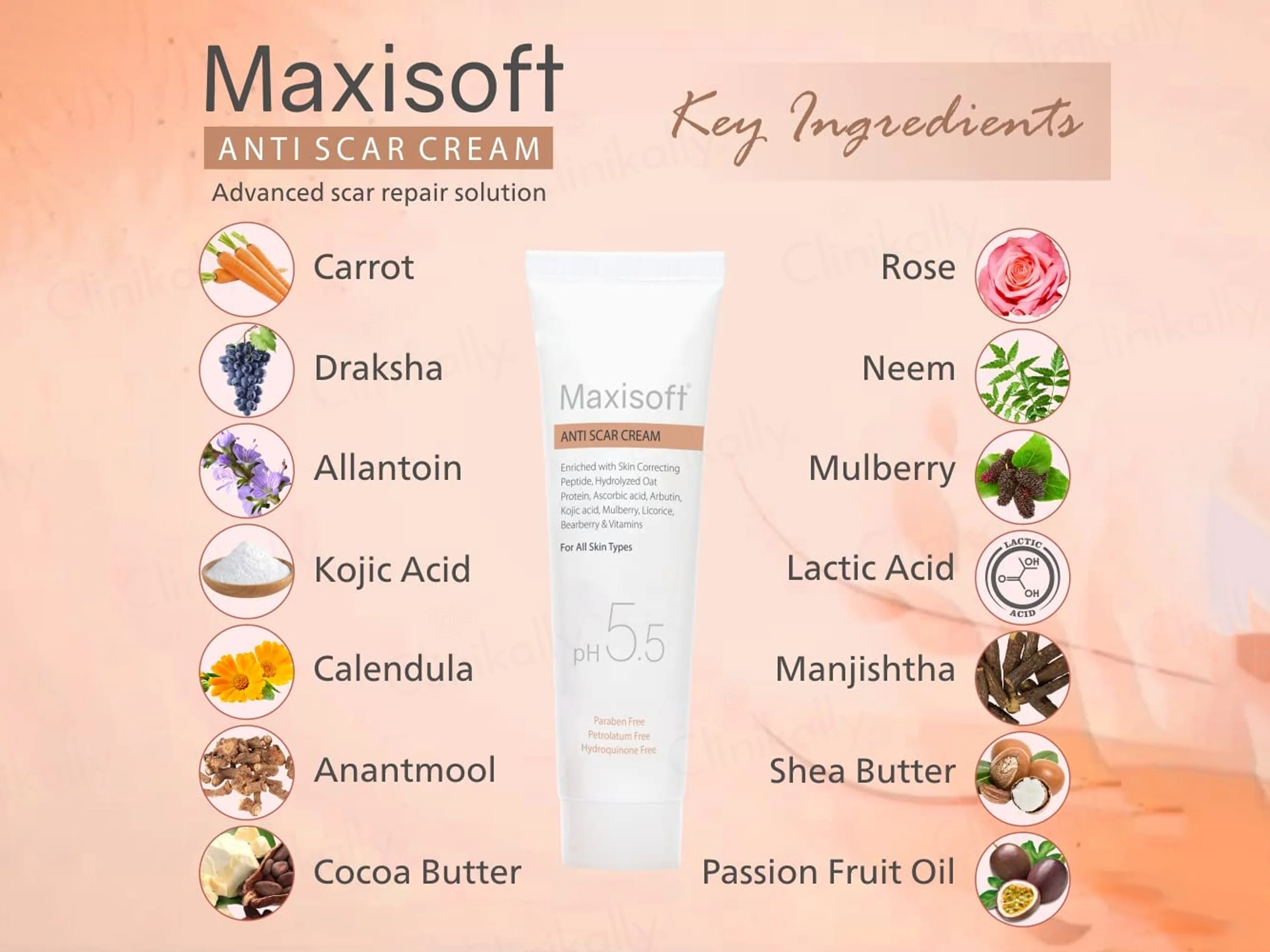 Maxisoft pH 5.5 Anti Scar Cream - Image 4