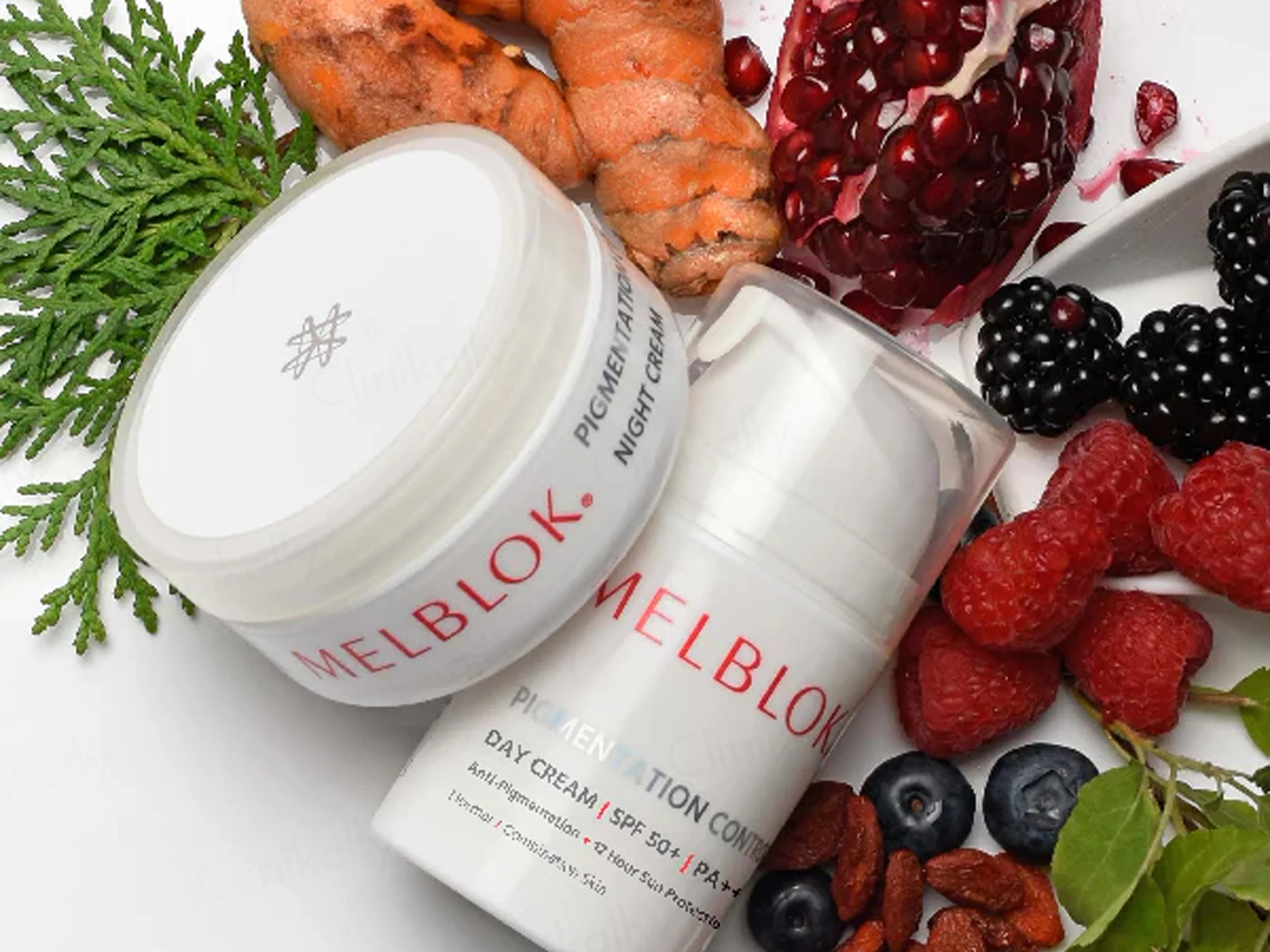 Melblok Pigmentation Control Day & Night System - Image 3