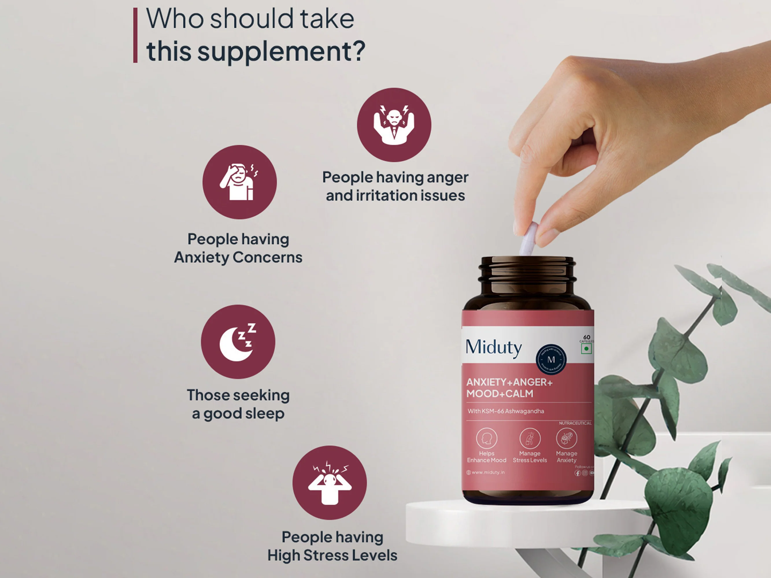 Miduty Anxiety + Anger + Mood + Calm Capsule - Image 4