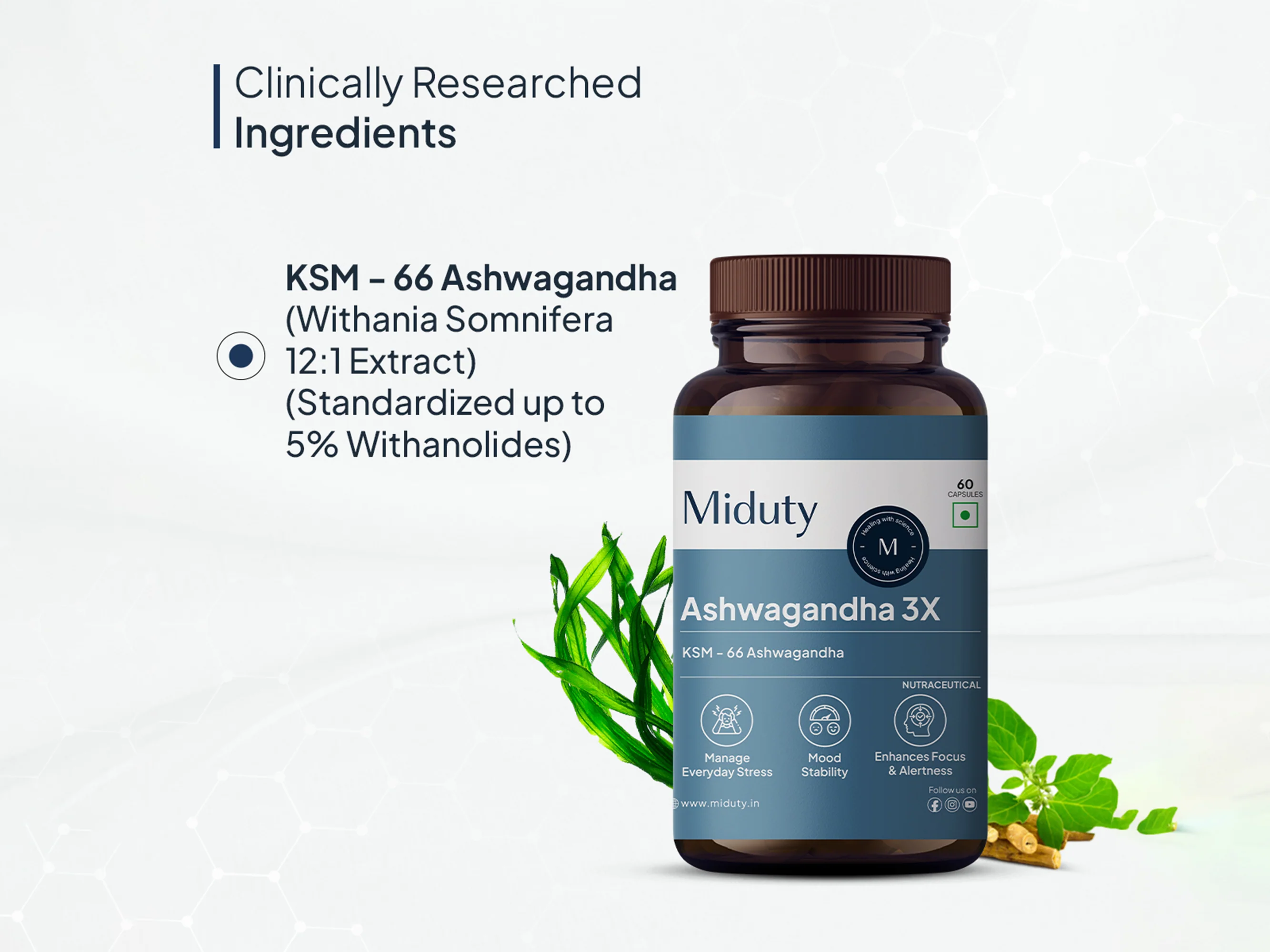Miduty Ashwagandha 3X Capsule - Image 4