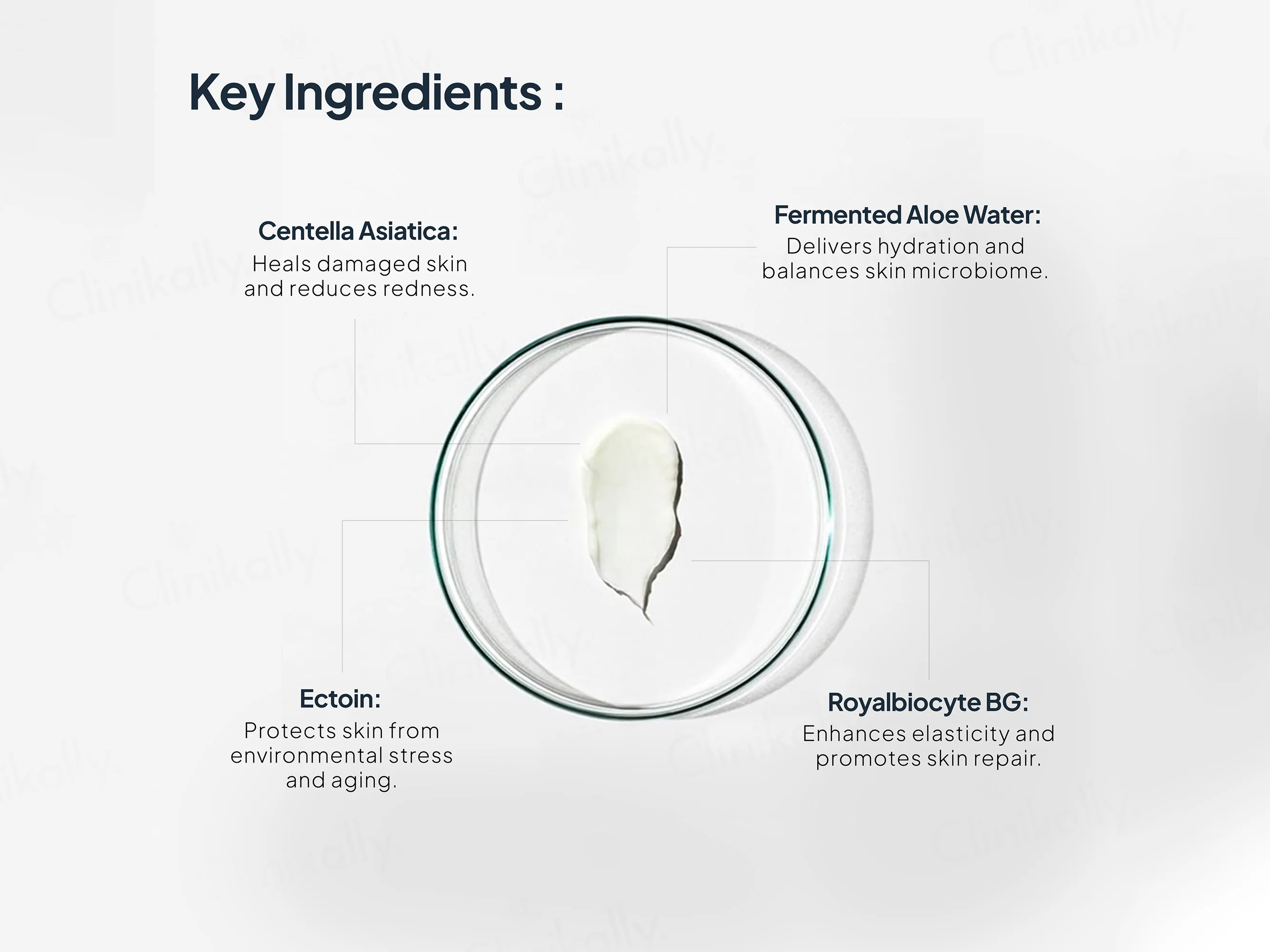 Miduty EpiRepair Anti-Aging & Barrier Repair Night Cream - Image 4