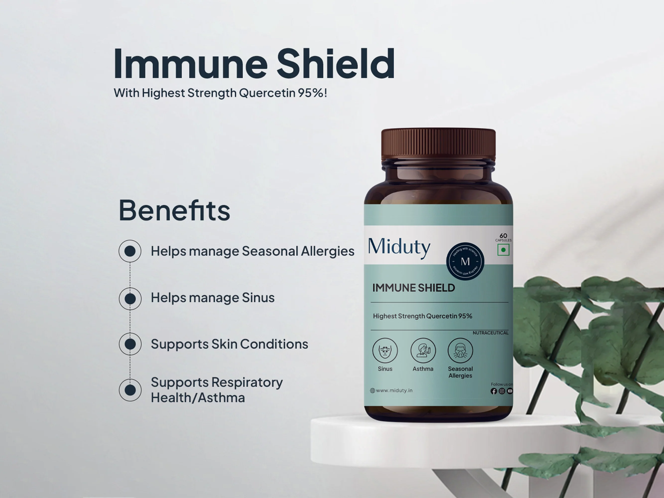 Miduty Immune Shield Quercetin 95% Capsule - Image 4