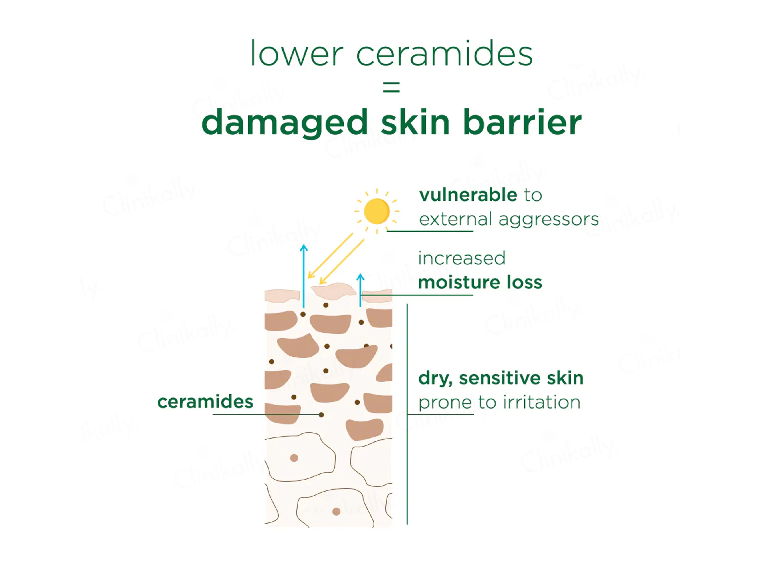 Simple Active Skin Barrier Care Soothing Water Creme - Image 5