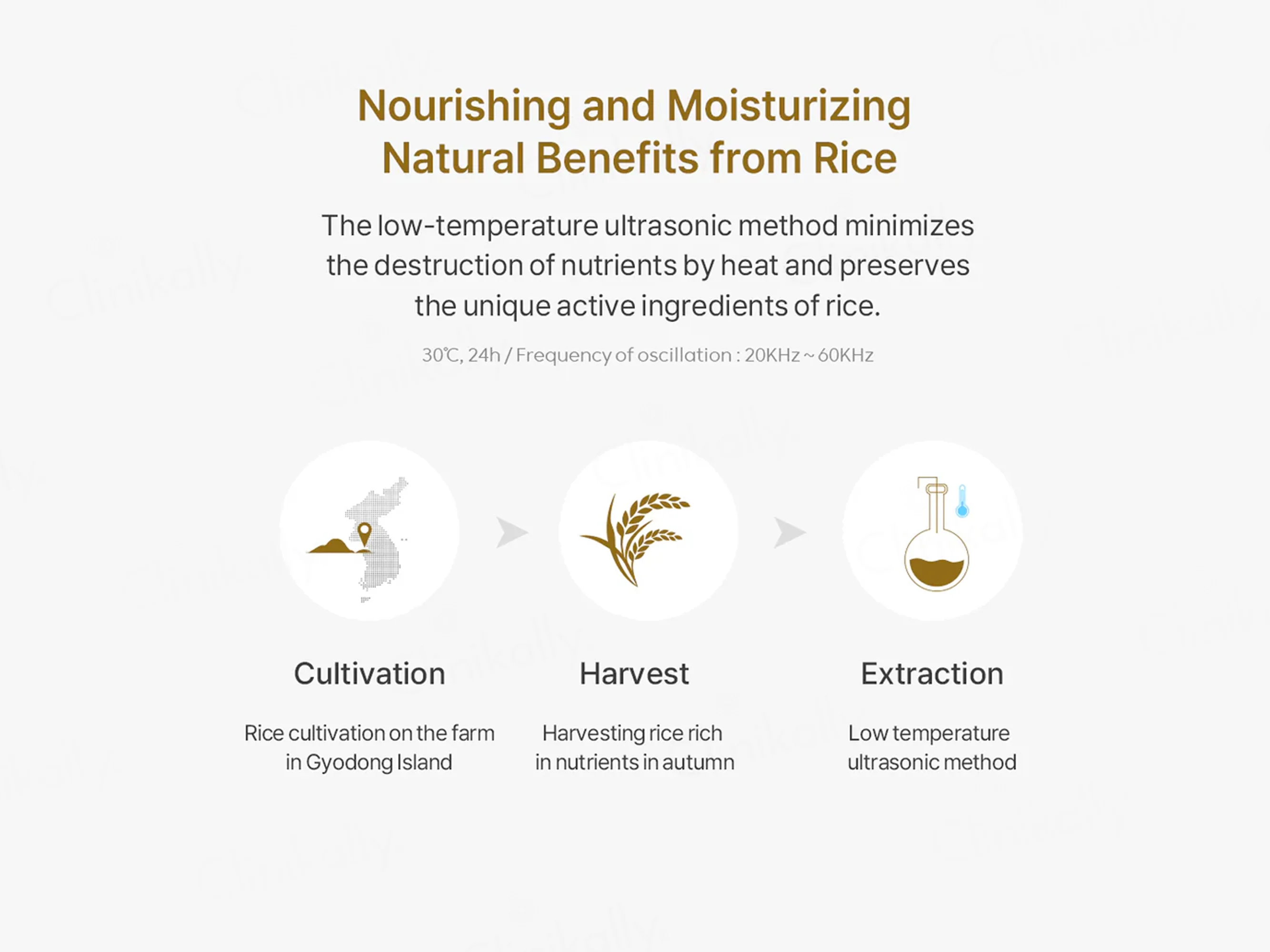 Thank You Farmer Rice Pure Cream In Ampoule - Image 9