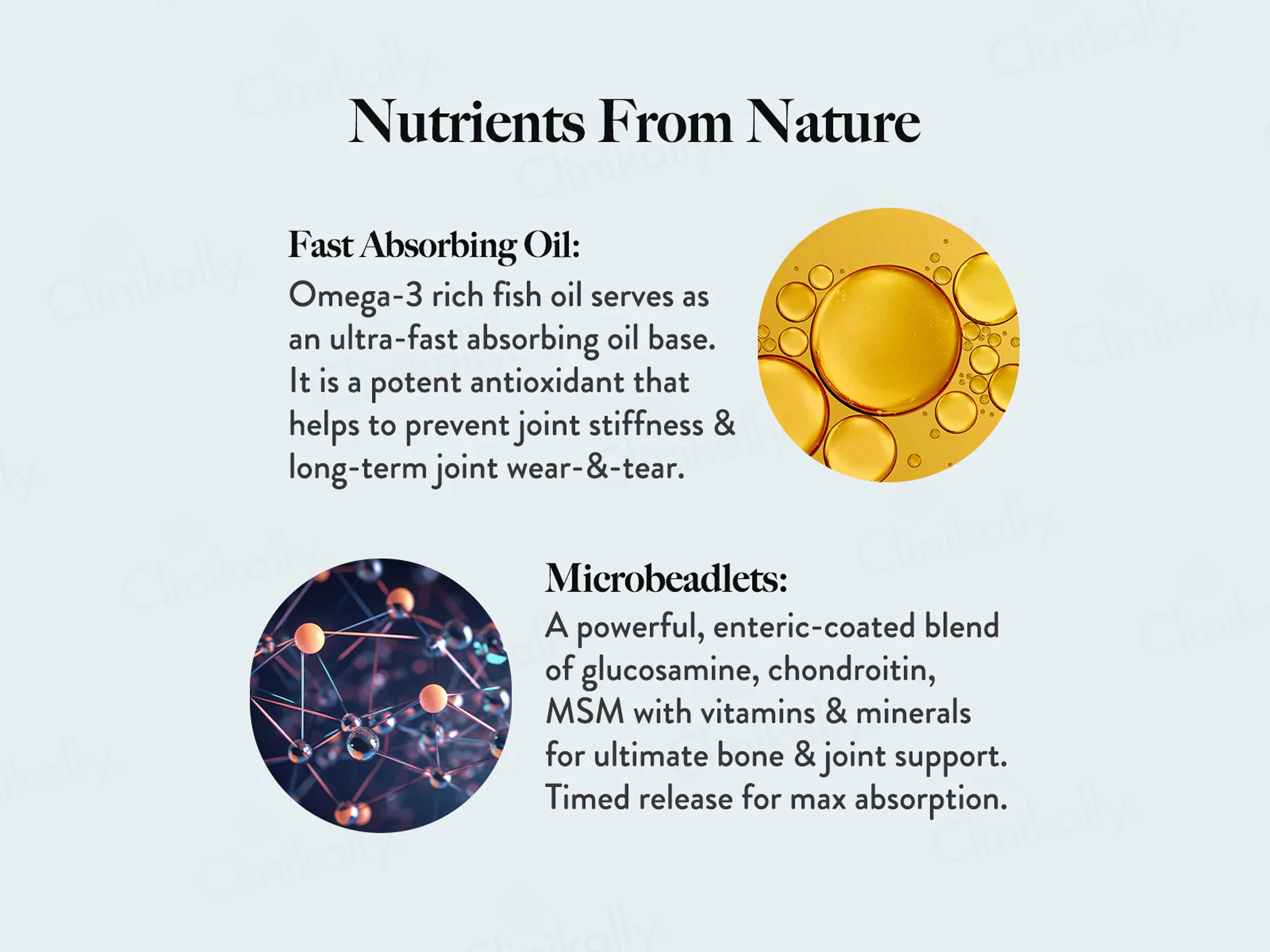Wellbeing Nutrition Slow Bone Support Capsule - Image 5